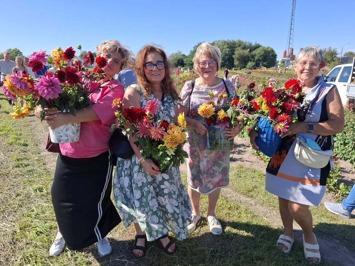 Dalie królowały podczas akcji "Zerwij swój bukiet"