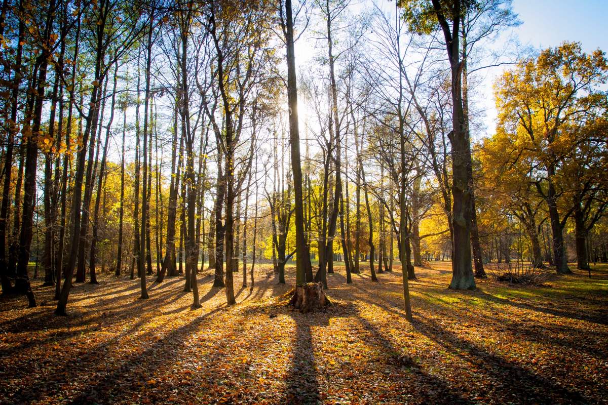 IMGW prognozuje w tym tygodniu dużo słońca