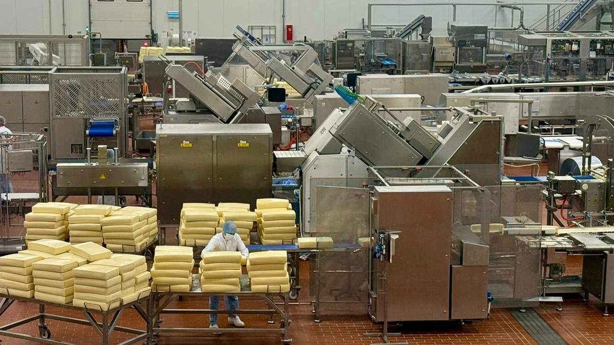 Inwestycja spółdzielni Mlekpol dotyczy zarówno rozbudowy już istniejącej infrastruktury magazynowej, zakupu nowych linii do produkcji serów, ale także kompleksową modernizację już działających linii, oraz kompleksową automatyzację procesów technologicznych.