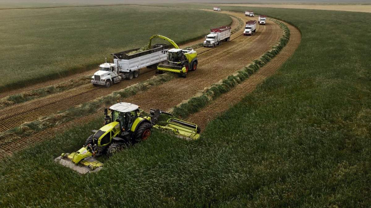 Nowa sieczkarnia Jaguar 1200 firmy Claas ustanowiła nowy oficjalny rekord świata w zbiorach pasz, zbierając 4.096 ton sieczki z całych roślin w ciągu 12 godzin.