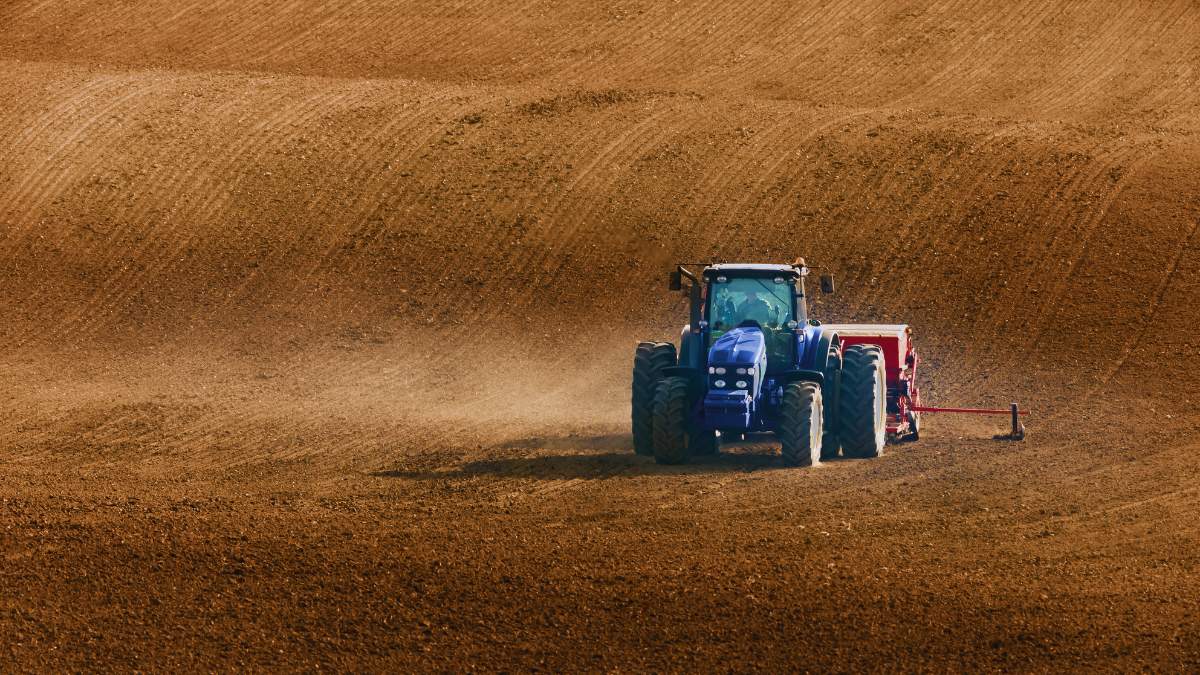 Późnojesienny siew jęczmienia jarego - tak czy nie?