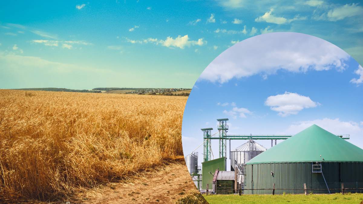 KOWR informuje o chęci wydzierżawienia na północy Polski ośrodka produkcji rolniczej z biogazownią rolniczą (zdjęcie ilustracyjne)