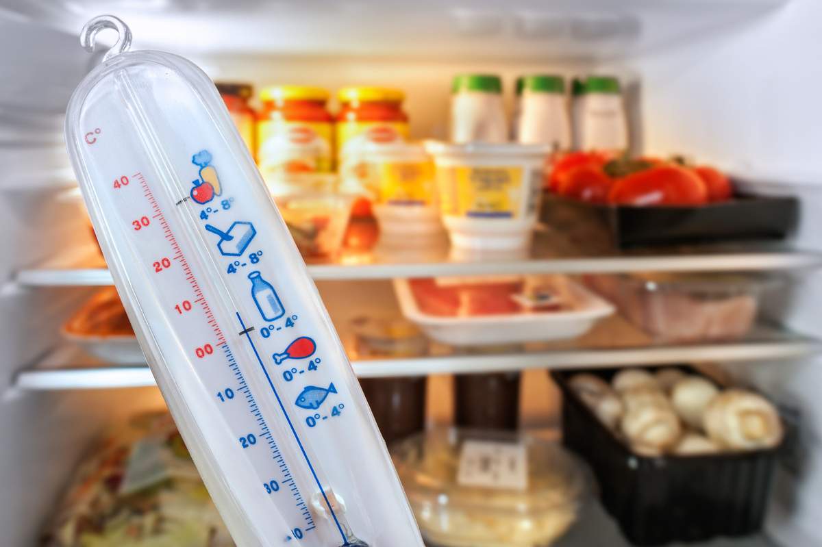 Utrzymywanie prawidłowej temperatury w lodówce i zamrażalniku to najlepszy sposób na wydłużenie świeżości produktów