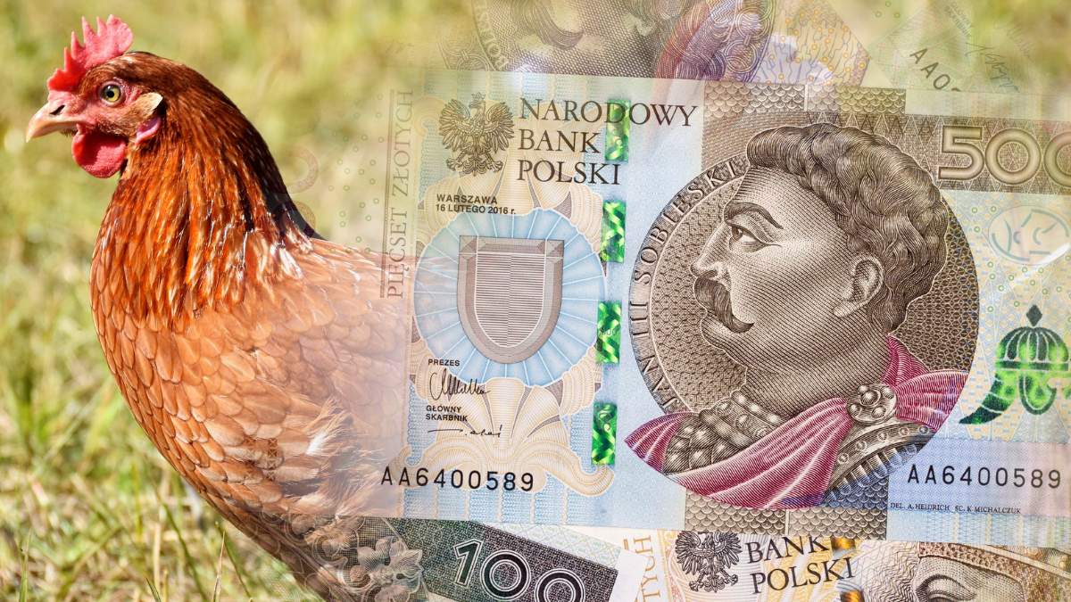 Polska już w lutym tego roku przekazała do Komisji Europejskiej wniosek w sprawie zastosowania nadzwyczajnych środków wsparcia dla sektora drobiarskiego w Polsce.