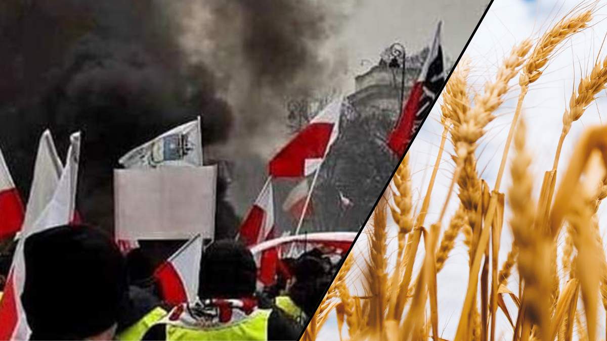 Problemy ze sprzedażą ziarna zmuszą rolników do masowych strajków? Pierwszy protest jest już zaplanowany
