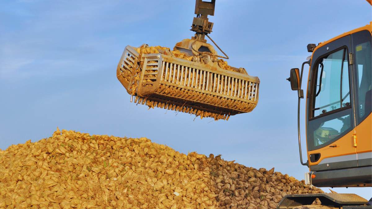 Grupa Nordzucker planuje zmniejszyć emisję CO₂ o 50% do 2030 roku i osiągnąć neutralną produkcję pod względem emisji CO₂ we wszystkich swoich fabrykach najpóźniej do 2050 roku