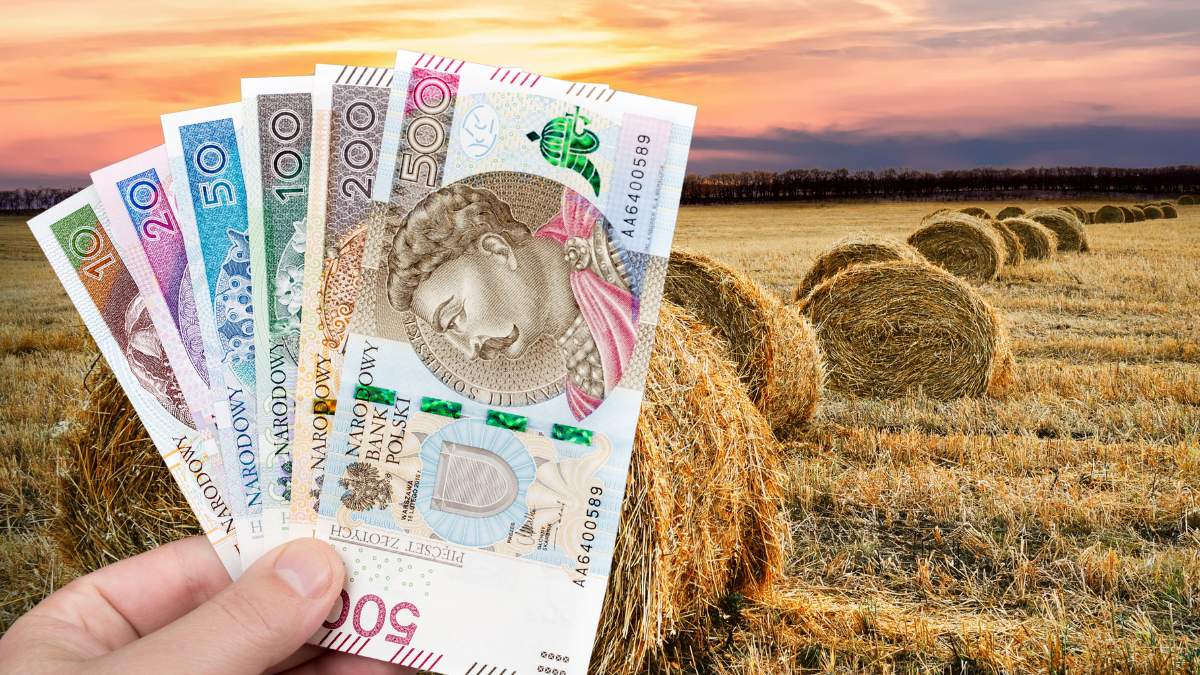 Od października rolnicy będą mogli sięgnąć po 120 tys. zł wsparcia na rozwój swoich gospodarstw.
