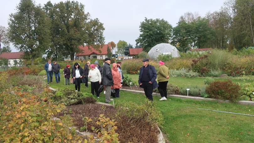 W edukacyjnym ogrodzie ziołowym uprawiane są rzadkie i przyrodniczo cenne zioła