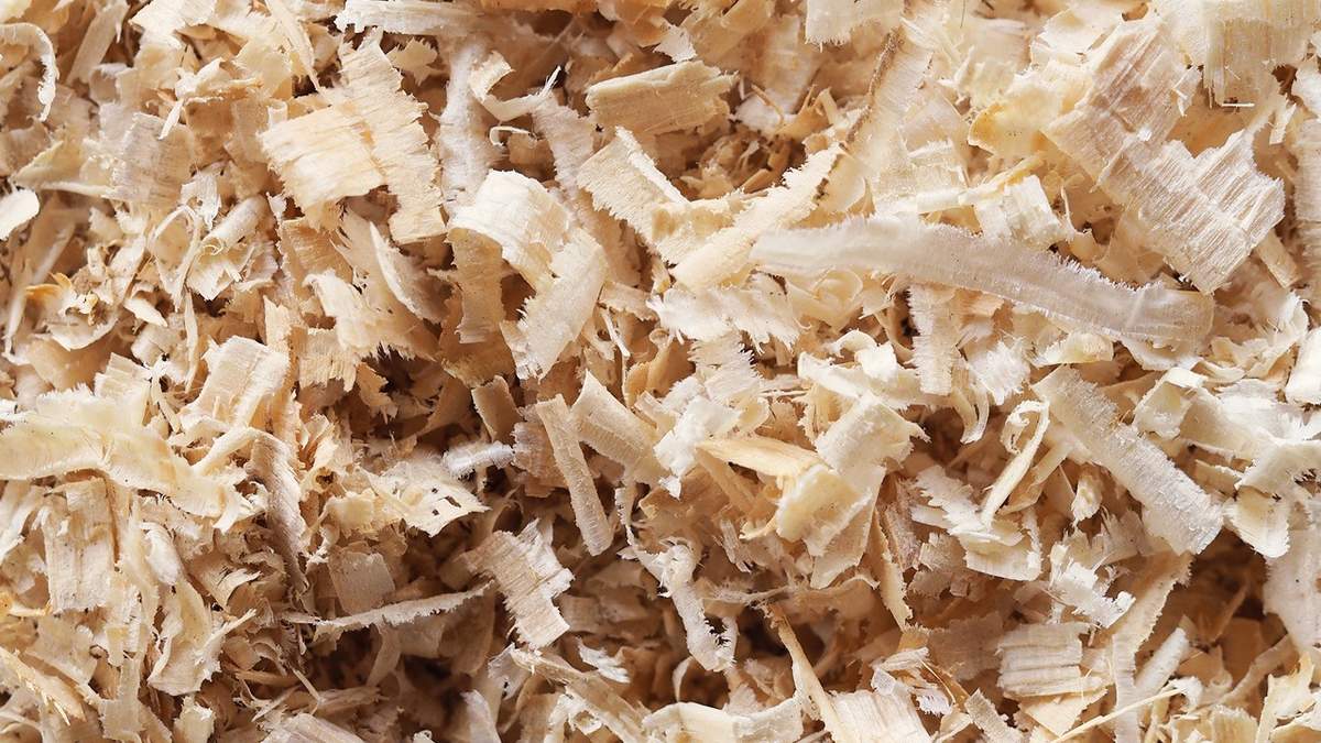 Trociny są nie tylko odpadem, lecz także świetnym materiałem organicznym do ogrodu