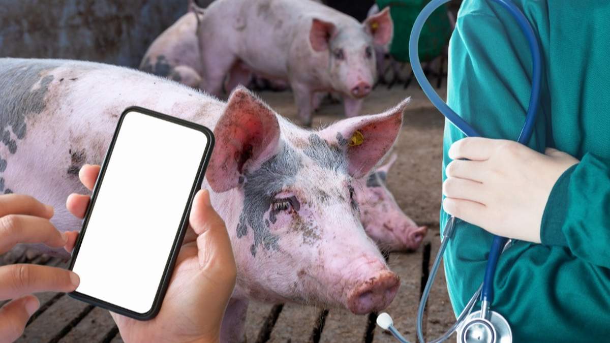 Rolnicy krytykują metody, jakie stosują inspektorzy weterynarii podczas kontroli w ich gospodarstwach