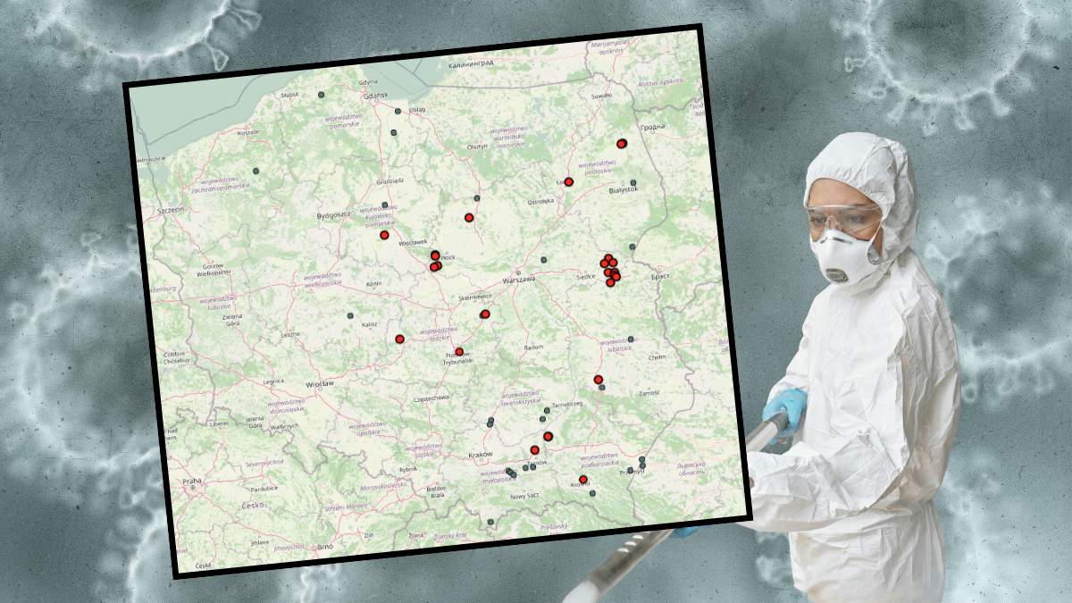 Sytuacja z rzekomym pomorem drobiu jest coraz bardziej niepokojąca. Wykryto kolejne ognisko