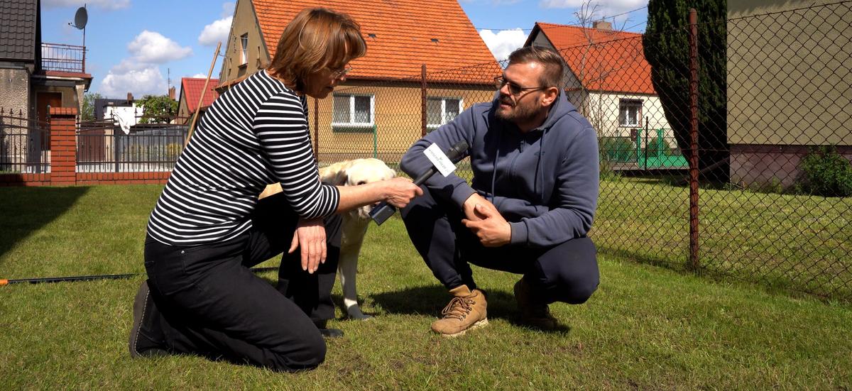 Pielęgnacja trawnika na wiosnę [PORADNIK WIDEO]