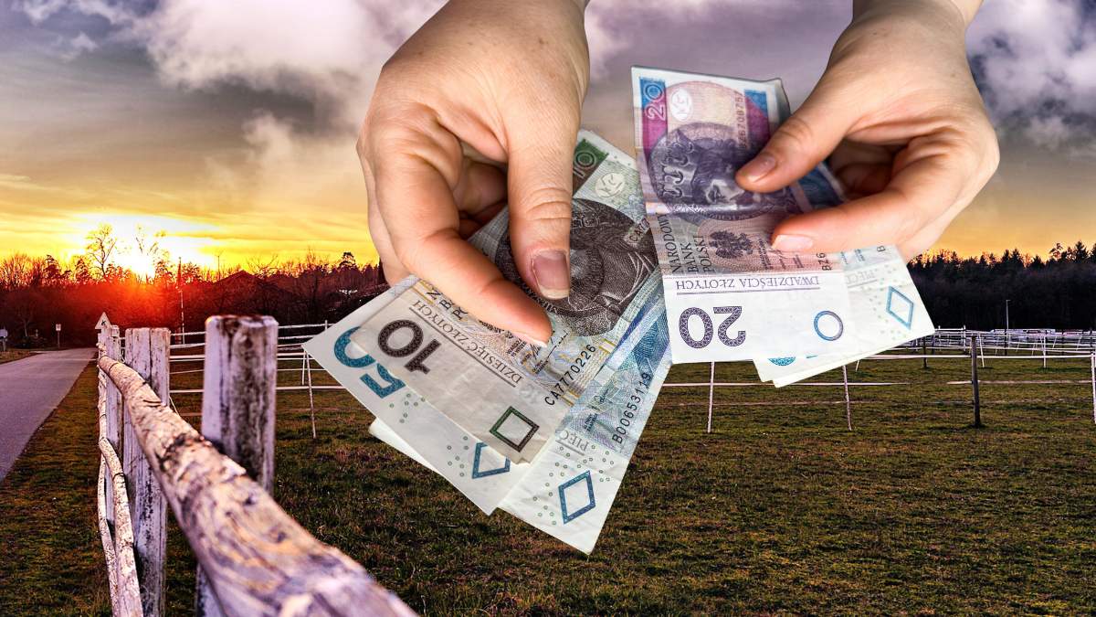 Zgodnie z aktualnymi danymi do ARiMR wpłynęło ponad 250 wniosków w ramach tegorocznej edycji wsparcia na rozwój małych gospodarstw.