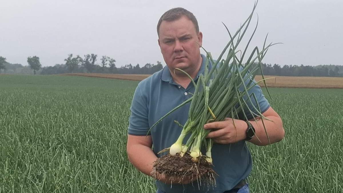 Maciej Czajowski od dwóch lat uprawia cebulę w technologii strip-till