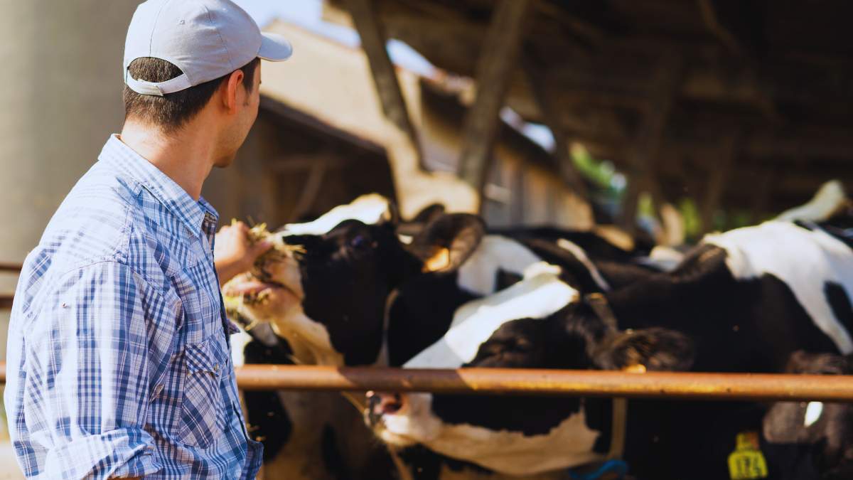 Wnioski o wpis do ewidencji producentów, zgłoszenia wybycia zwierząt oraz oświadczenia o zakończeniu prowadzenia działalności należy składać w biurze powiatowym ARiMR właściwym ze względu na miejsce zamieszkania.