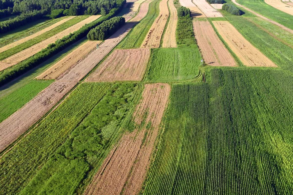 Kontrole ARiMR. Które gminy na Podkarpaciu obejmą?