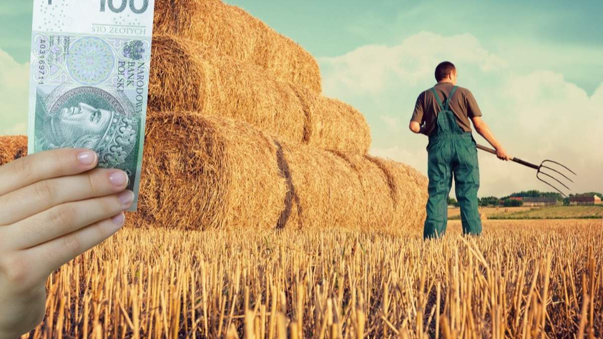 Do końca sierpnia w ramach wybranych programów, które znalazły się w PROW 2014 - 2020, rolnicy mogą złożyć wnioski o płatność