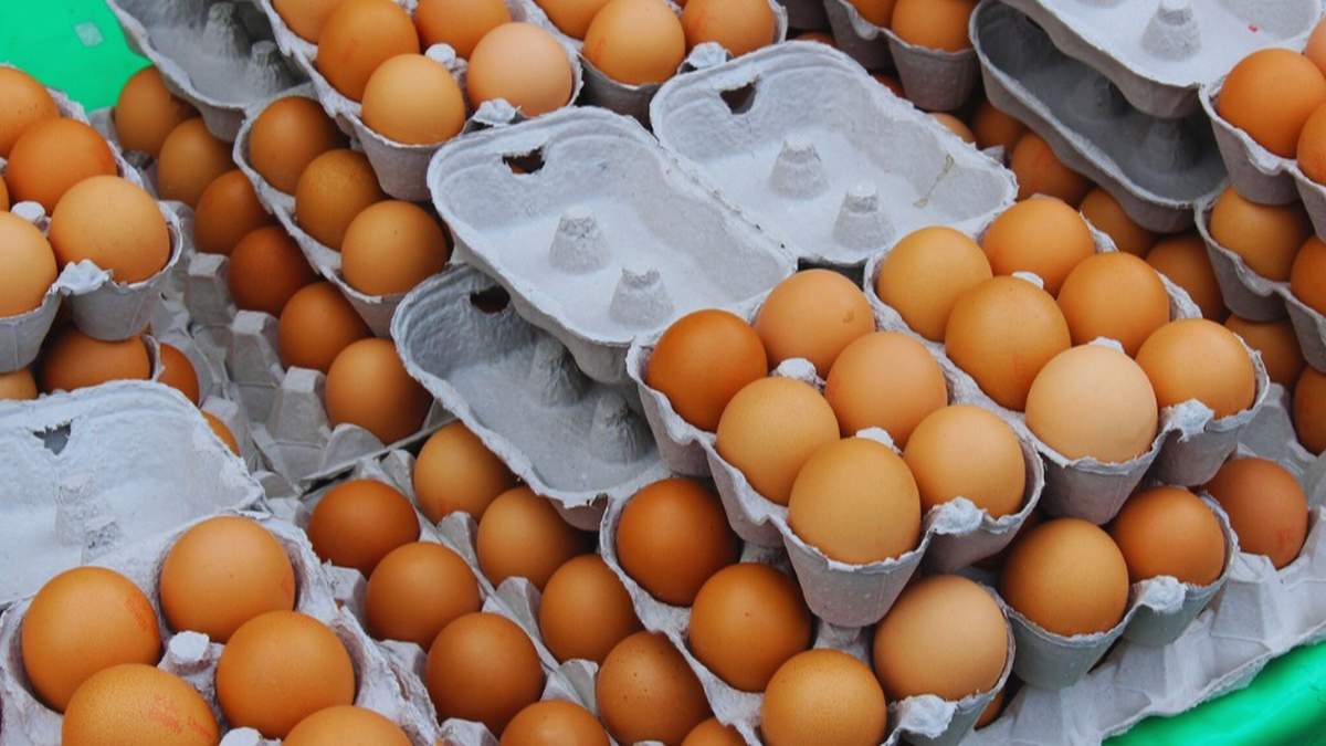 Przed rozpoczęciem sprzedaży bezpośredniej - np. jajek - trzeba złożyć wniosek u swojego Powiatowego Lekarza Weterynarii.