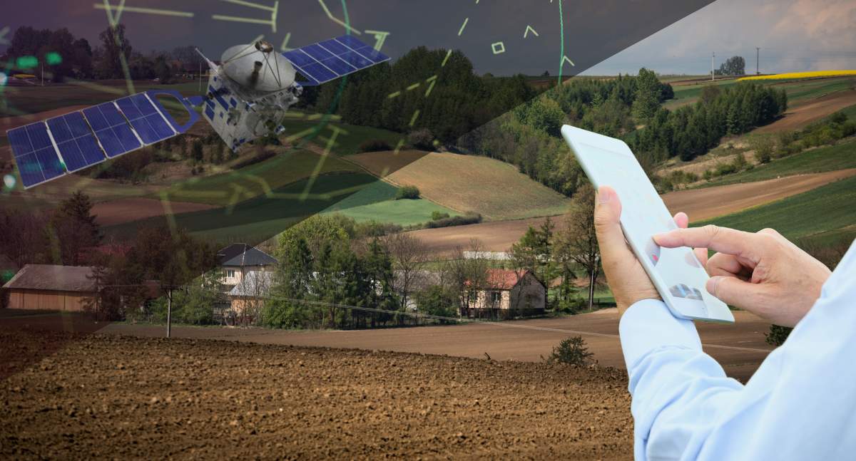 Jeśli chodzi o rok 2025, do kontroli w zakresie dopłat bezpośrednich wytypowanych zostało ponad 71 tys. beneficjentów