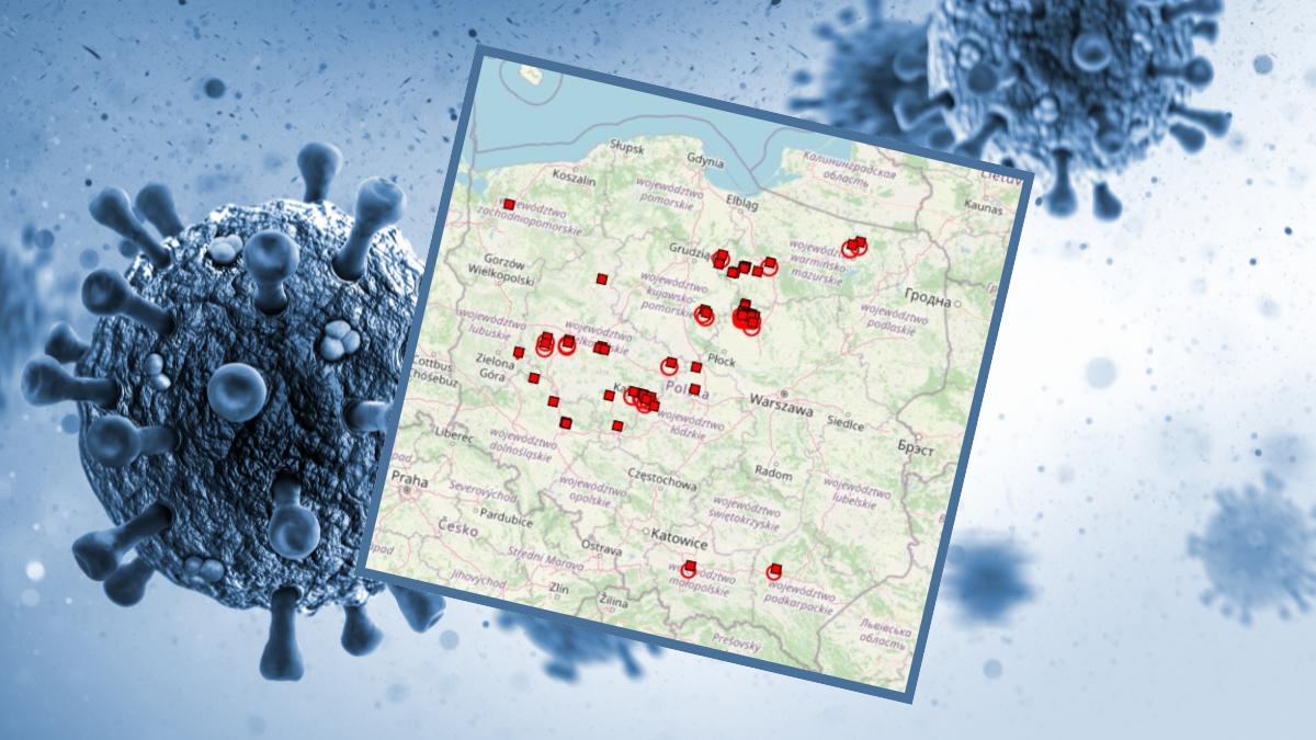 Jak informuje Główny Lekarz Weterynarii, do 11 marca na terenie Polski stwierdzono już 40 ognisk ptasiej grypy.