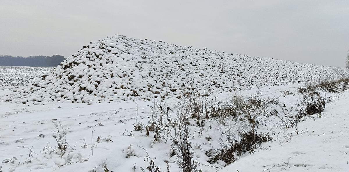 Prognozy IMGW na ten tydzień przewidują, że w wielu częściach Polski może spaść deszcz ze śniegiem, a niekiedy sam śnieg