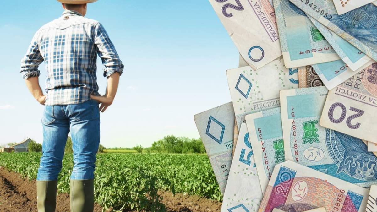 Jak twierdzi resort rolnictwa, dzięki nowym przepisom dostęp rolników do ubezpieczeń z dopłatami (chodzi o 65 proc. składki) ma być łatwiejszy.