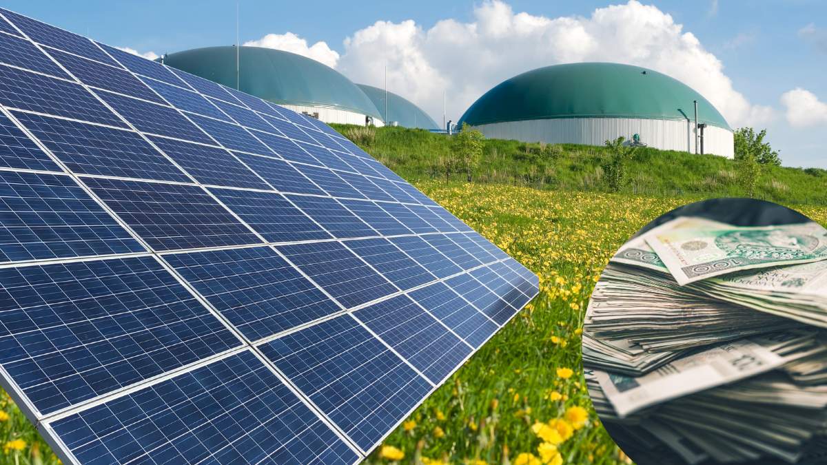 Fotowoltaika, biogaz czy magazyny energii - rolnicy coraz chętniej inwestują w tego rodzaju rozwiązania
