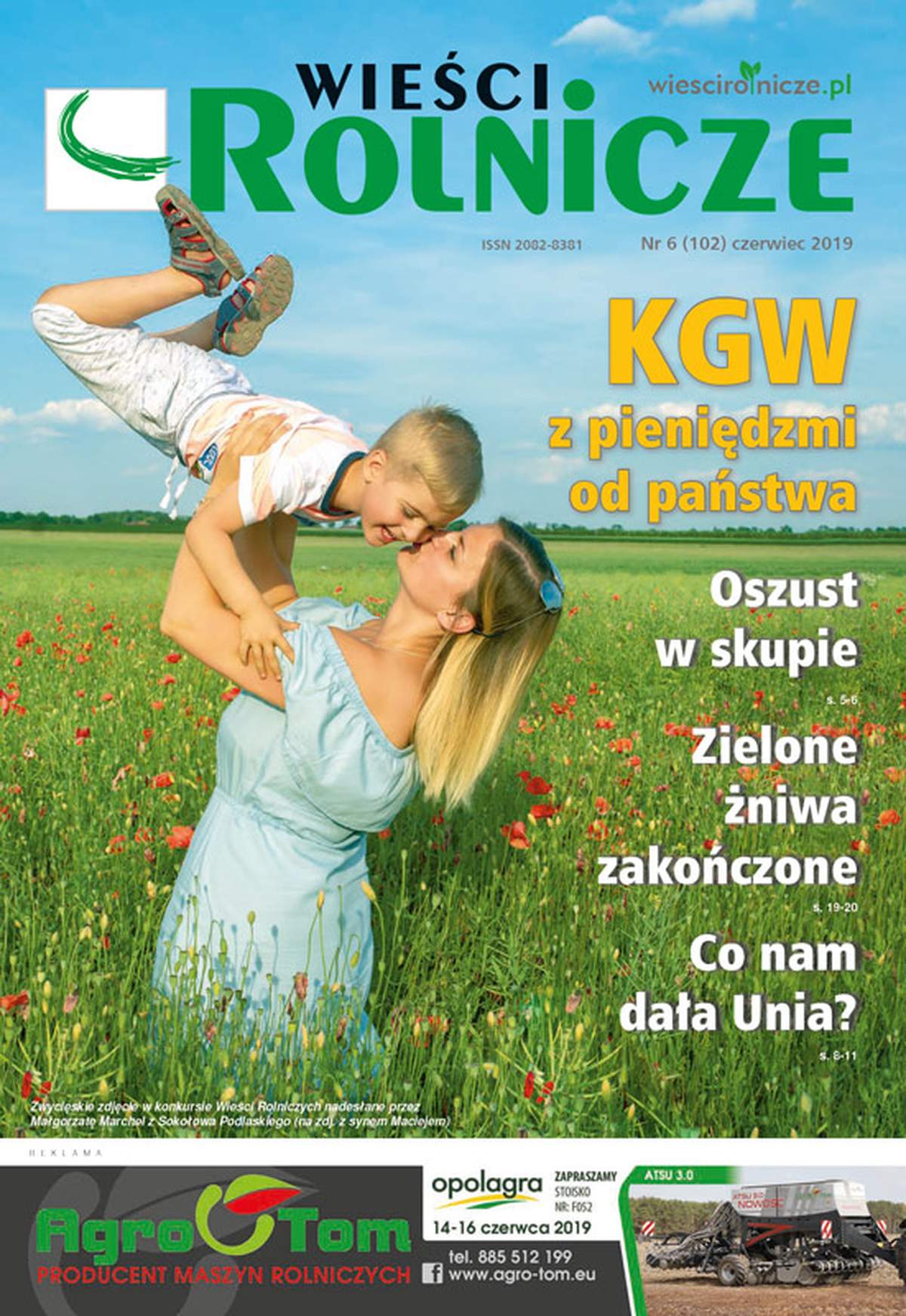 Nr 6/2019