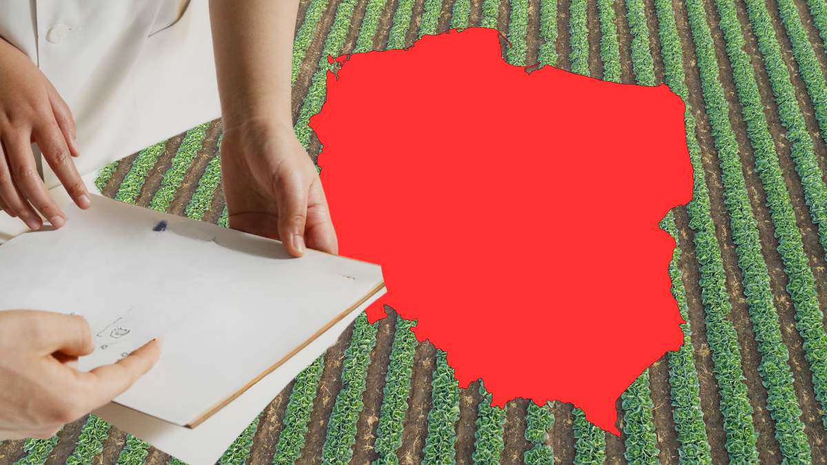 Instytut Uprawy Nawożenia i Gleboznawstwa w Puławach opublikował pierwszy tegoroczny raport w sprawie suszy w Polsce.