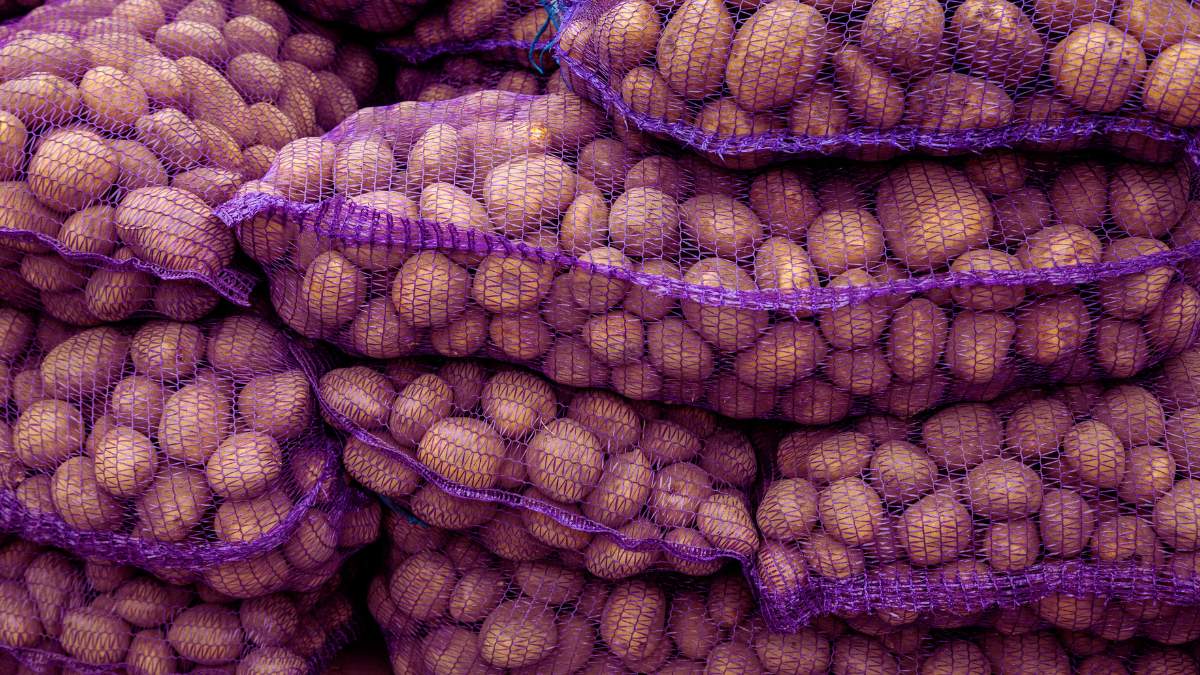 Koniec worków bliski. Co dalej z tradycyjną sprzedażą ziemniaka? [KOMENTARZ]