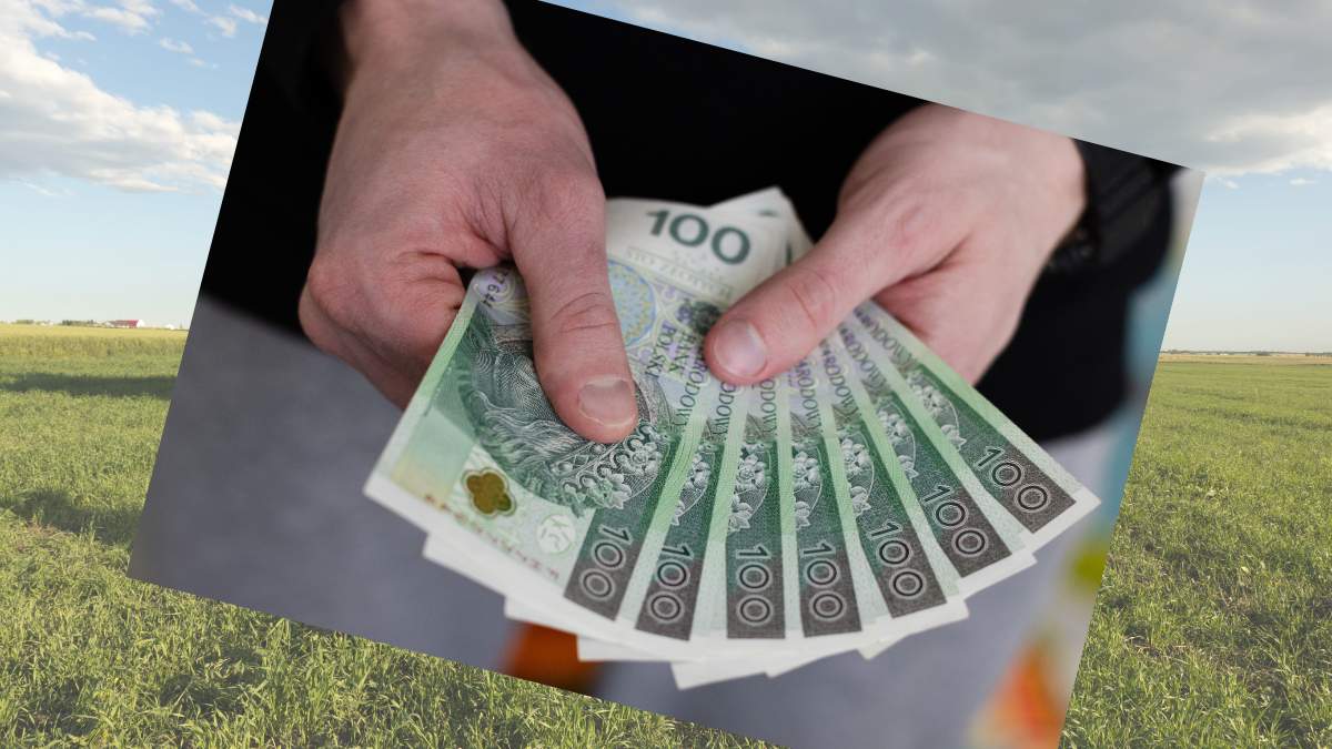 33-letni prezes miał rozporządzać 3 mln zł należącymi do fundacji - jak własnymi. Nie przyznaje się do winy