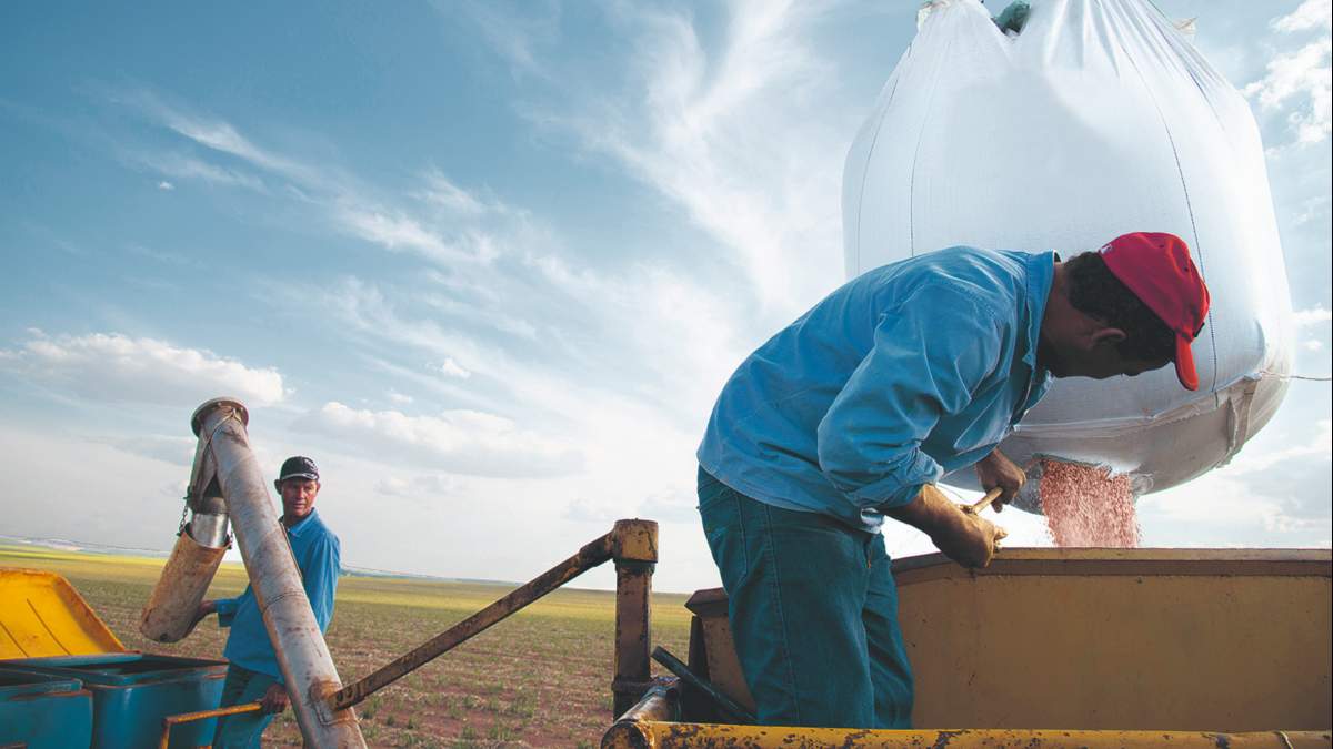 Od maja 2025 r. produkowany jest tylko Korn-KALI o nowym składzie: 38 % K2O / 6 % MgO / 12 % SO3