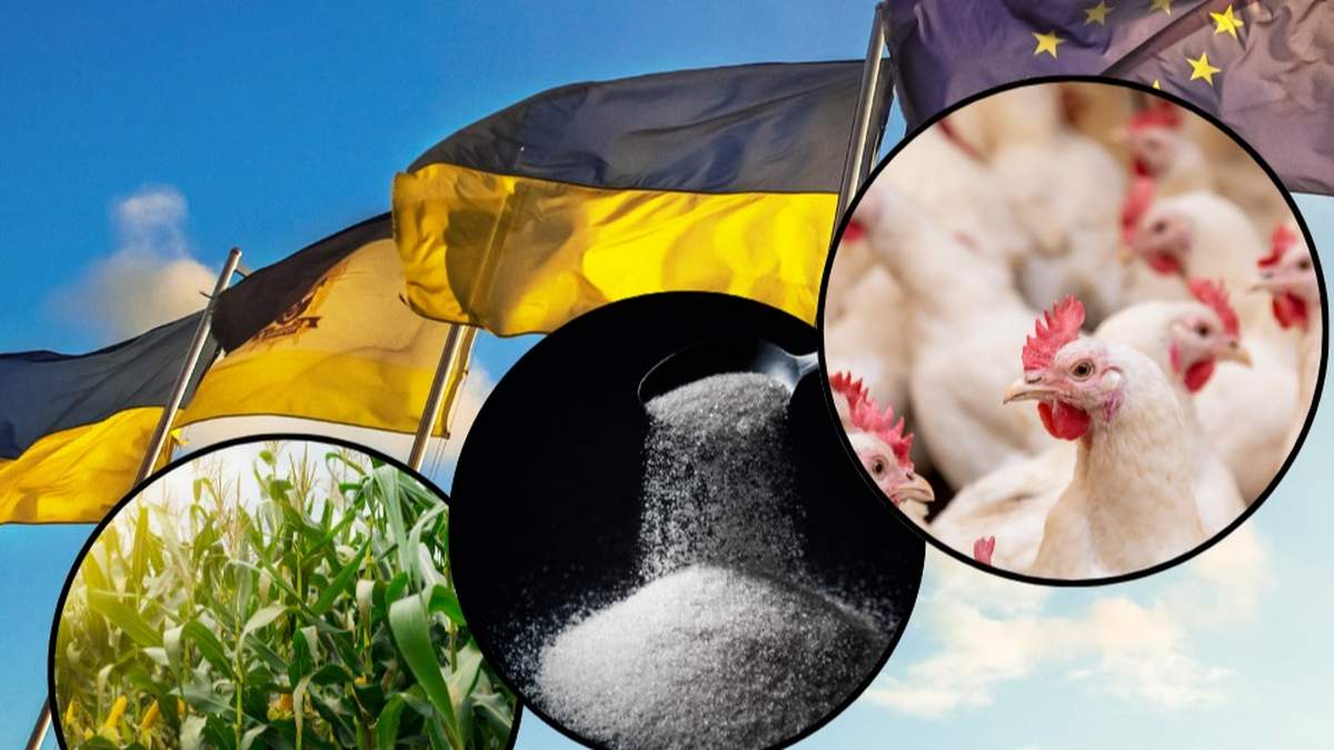 Nowe założenia, w przypadku niektórych produktów, zakładają spore zwiększenia kontyngentów