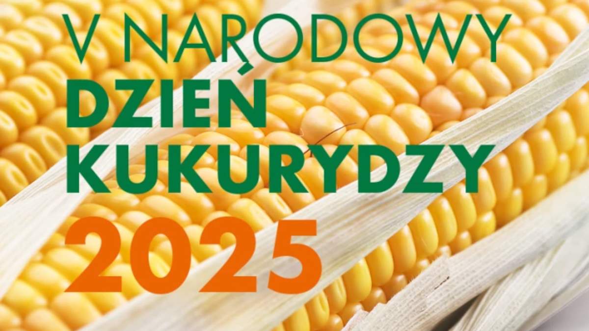 Za tydzień V Narodowy Dzień Kukurydzy