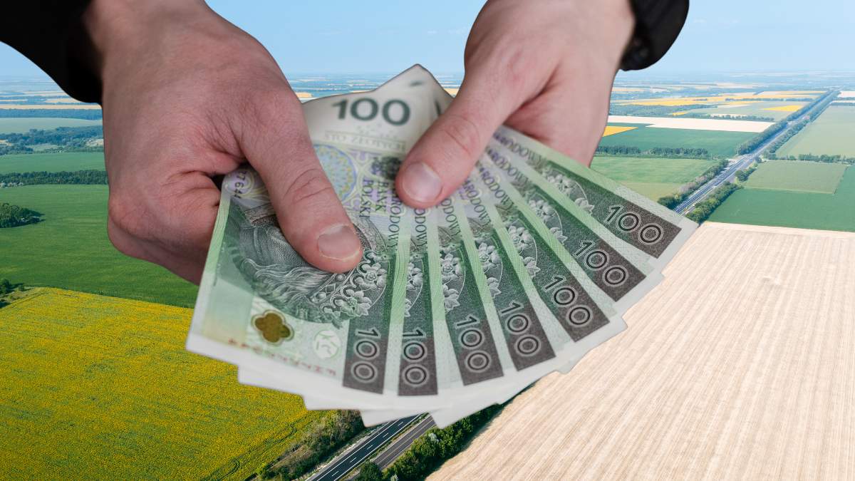 Według informacji, w I kwartale 2025 r. powierzchnia sprzedaży gruntów nierolnych wyniosła 183 ha.