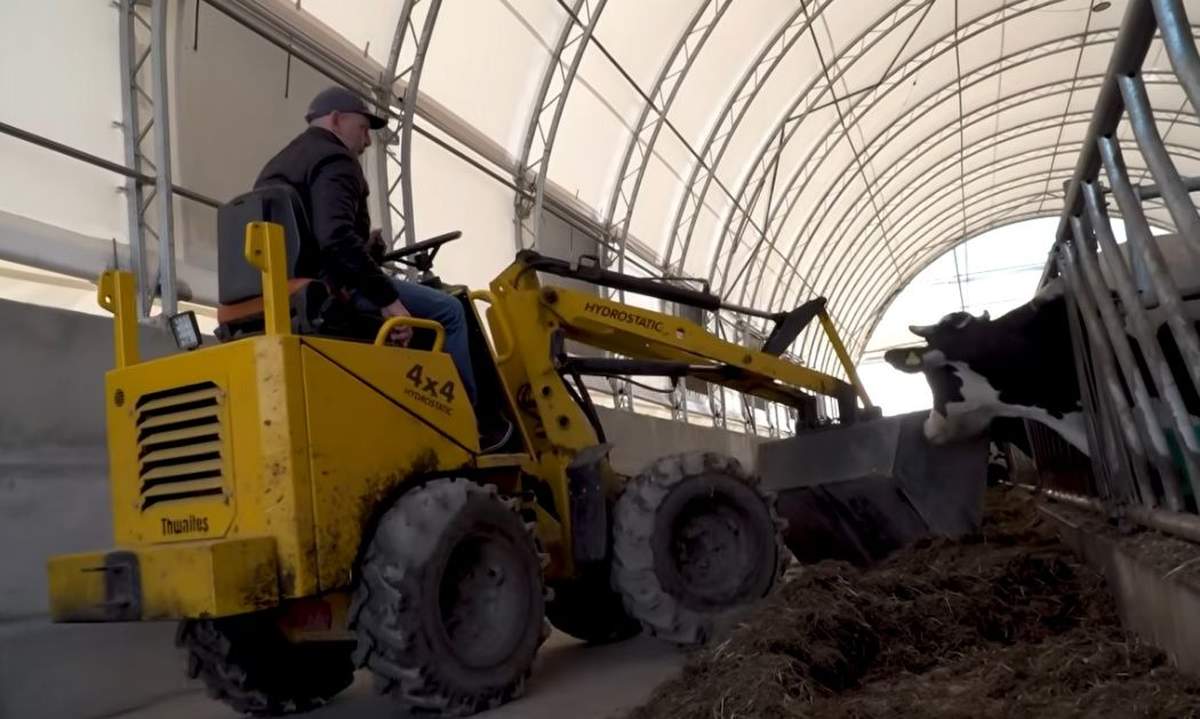 Gospodarstwo pana Tomasza to rodzinna działalność, przekazywana z pokolenia na pokolenie. Obecnie obejmuje 58 hektarów, z czego 24 ha to własność. Dziś stado liczy 40 krów dojnych oraz 50 sztuk młodzieży i jałówek, a cała pasza produkowana w gospodarstwie jest przeznaczana na ich wykarmienie.