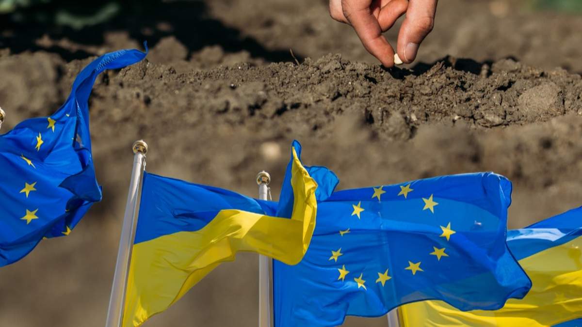 Od 10 lipca wejdą w życie nowe przepisy, które uznają równoważność materiału siewnego roślin pastewnych wyprodukowanego i certyfikowanego w Republice Mołdawii oraz materiału siewnego buraka i materiału siewnego słonecznika, rzepaku oraz soi wyprodukowanego i certyfikowanego w Ukrainie.