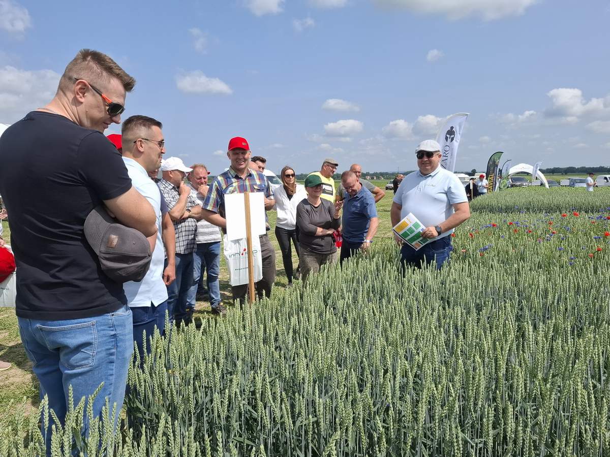 Na blisko 180 poletkach demonstracyjnych można było zobaczyć efekty stosowanych środków do ochrony roślin firmy INNVIGO