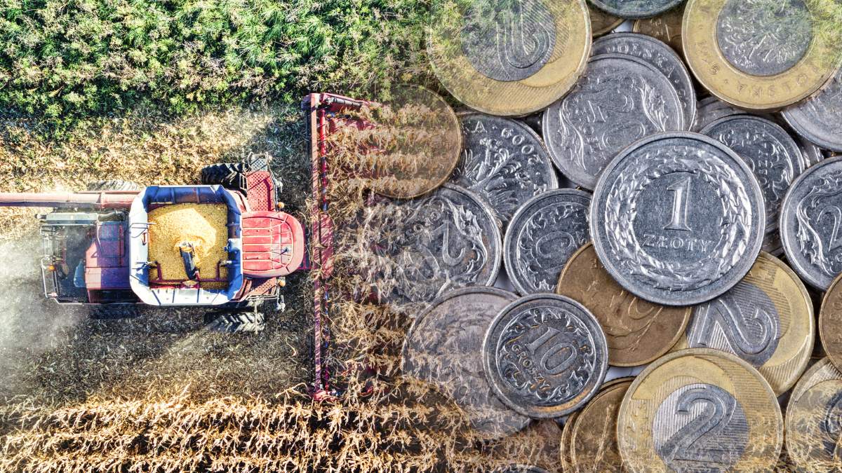 Trwa nabór wniosków w ARiMR w ramach interwencji "Inwestycje w gospodarstwach rolnych zwiększające konkurencyjność". Chodzi o obszary A i D. W przypadku tego drugiego, grupa rolników może starać się o zakup nowego kombajnu.