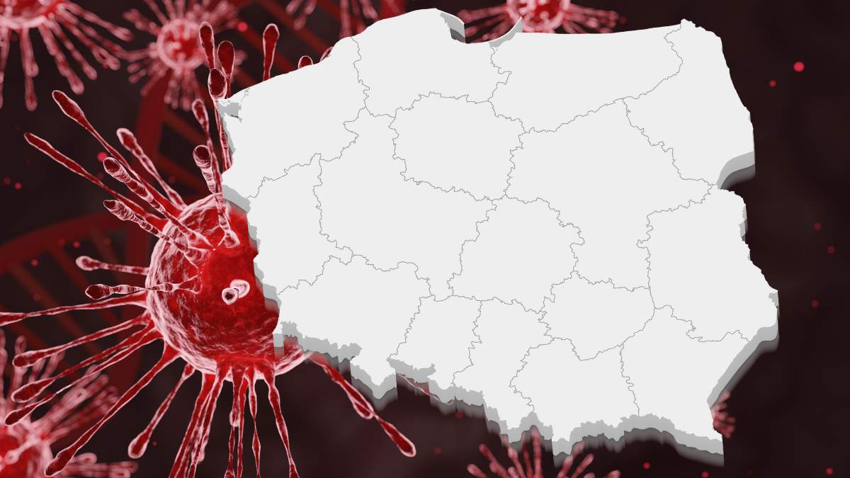 Tylko w minionym roku na terenie Polski stwierdzono 44 ogniska afrykańskiego pomoru świń. Jednym z głównych wektorów choroby są dziki. Każdego tygodnia rejestrowane są w Polsce nowe przypadki.