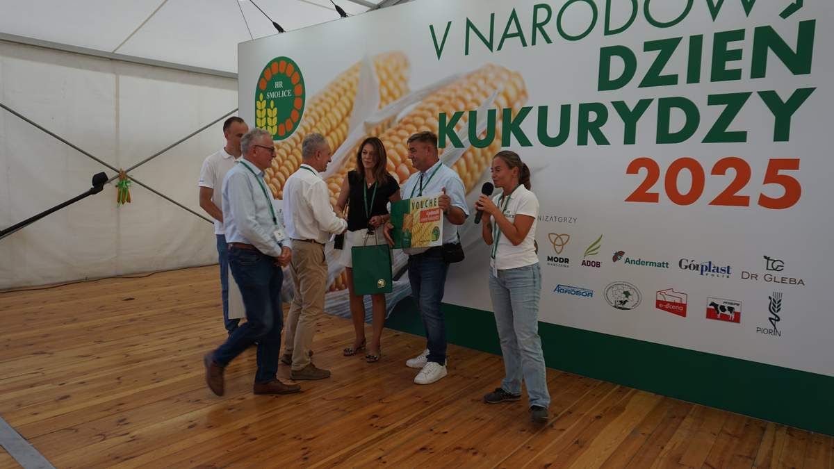 Ta odmiana daje 12 ton z hektara. Rolnicy na Dniu Kukurydzy mówią o sezonie 2025