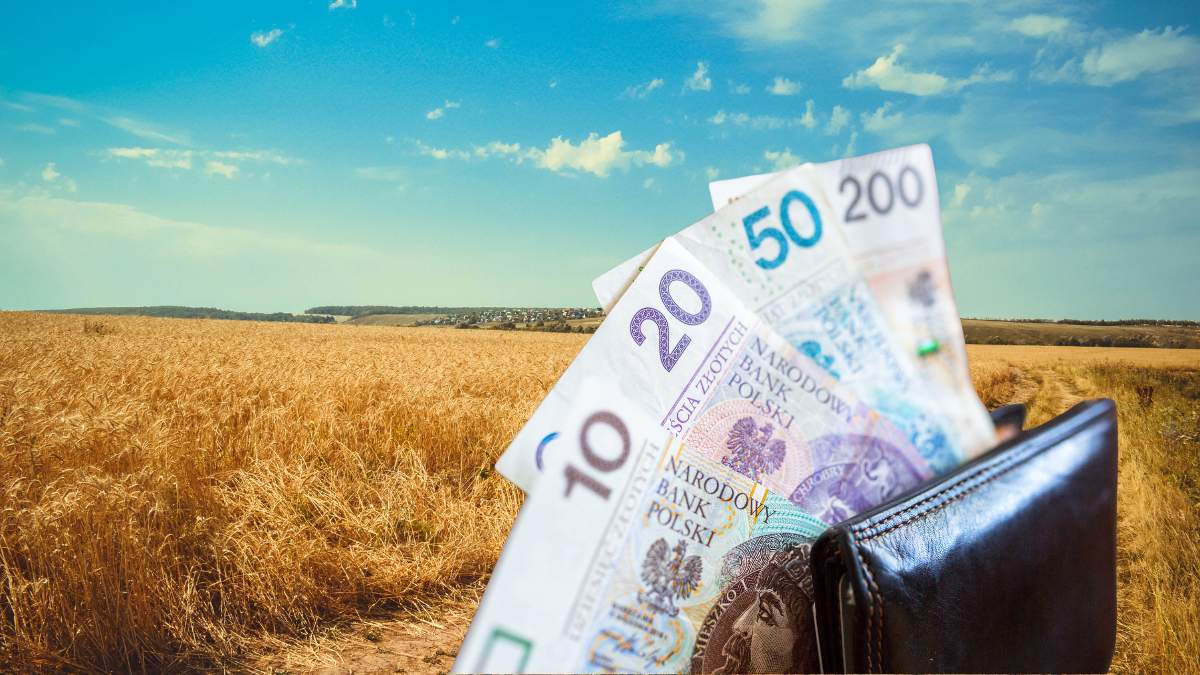 ARiMR wypłaca wsparcie rolnikom w ramach tzw. pomocy suszowej