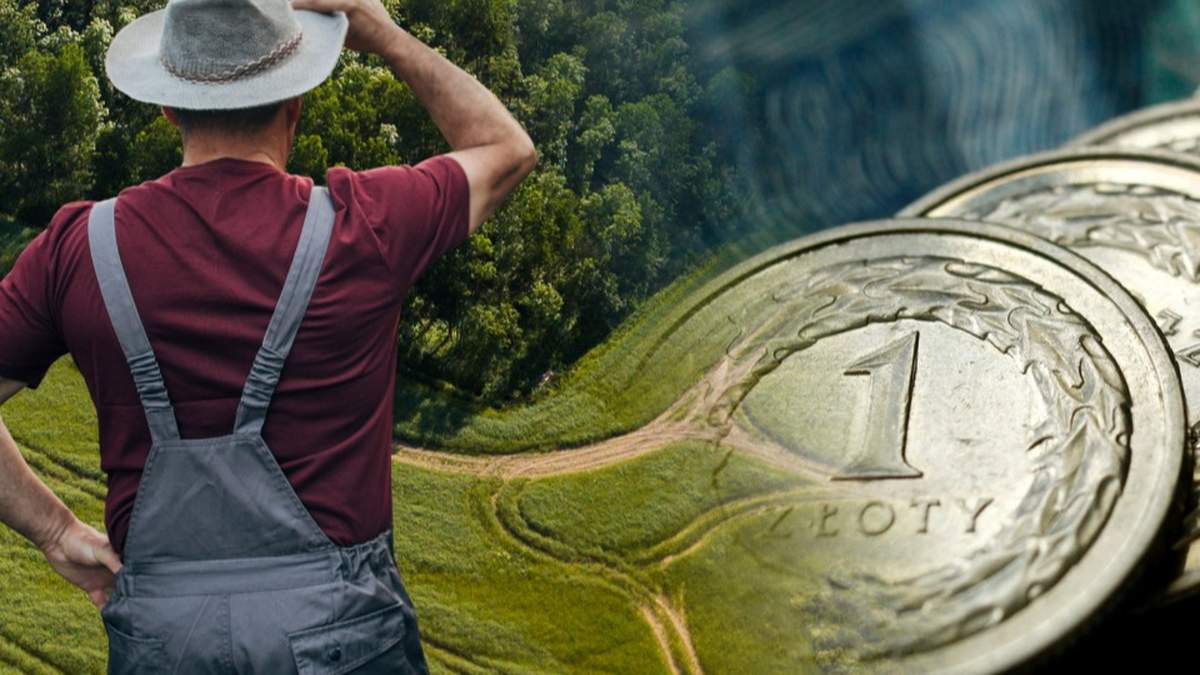 Dofinansowanie w ramach inwestycji leśnych lub zadrzewieniowych z PS WPR 2023-2027 może być przyznane rocznie maksymalnie do 40 ha w ramach danej interwencji.