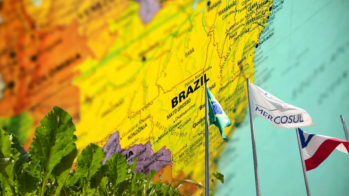 Otwarcie rynku UE na produkty rolne z Mercosur przy jednoczesnym, planowanym zmniejszeniem budżetu na Wspólną Politykę Rolną to przepis na  katastrofę - przekonuje Mirosław Korzeniowski ze Stowarzyszenia Agroekoton