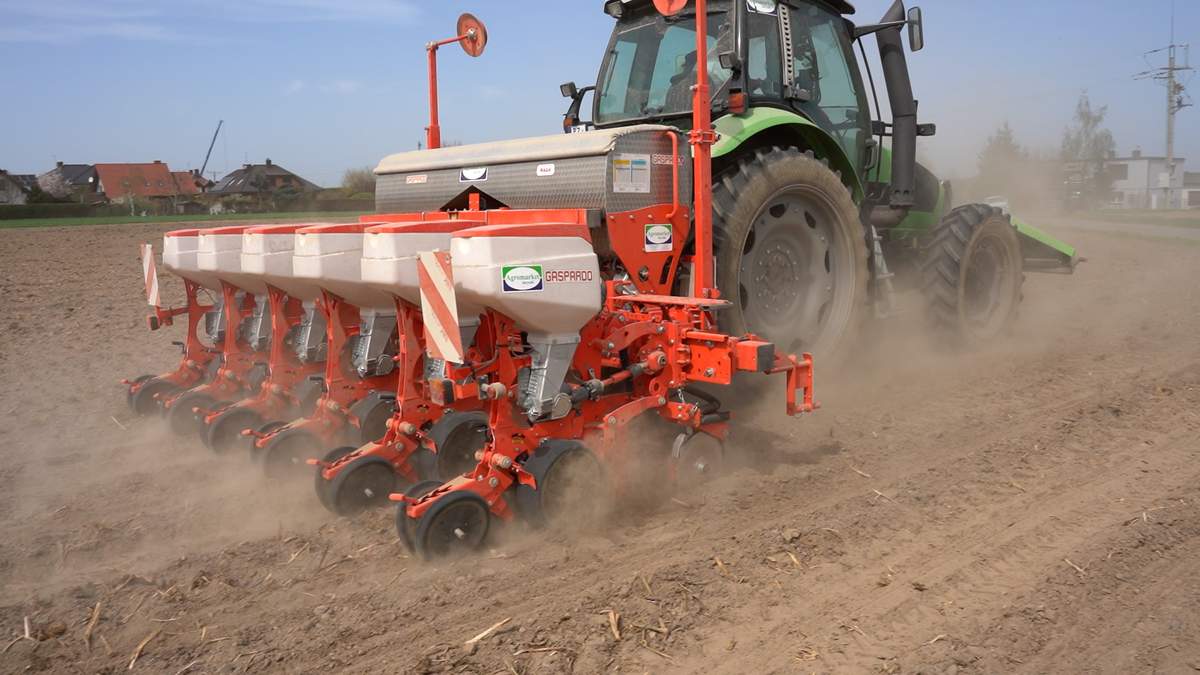 Farmer postawił - podobnie jak w latach ubiegłych - na siew uproszczony