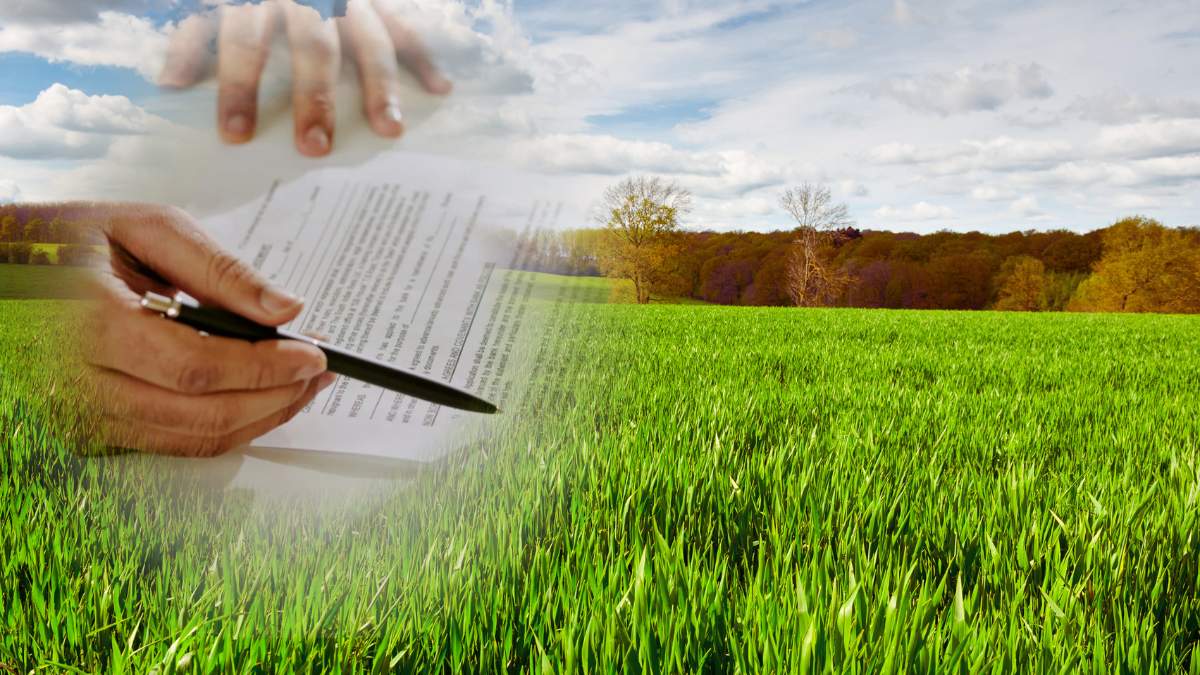 Rządzący mają w planie nowe regulacje w sprawie TUZ. W praktyce "poluzują" one nieco obecne wytyczne.