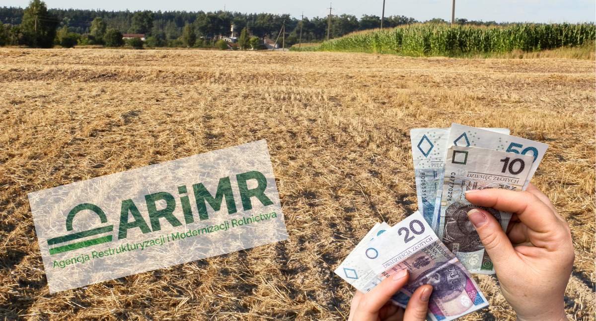W tym roku realizację praktyki: wymieszanie słomy z glebą w ekoschemacie Rolnictwo węglowe zadeklarowało o 100 tysięcy mniej rolników niż w 2024 roku