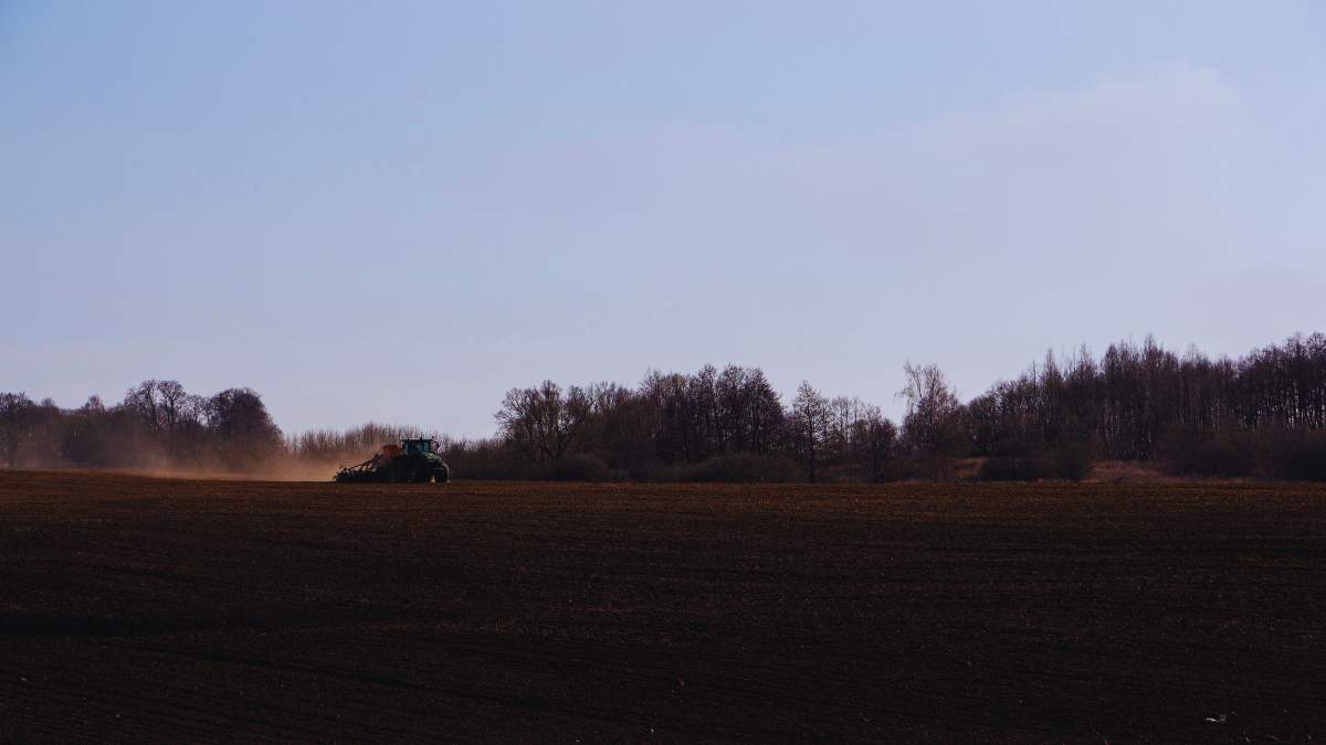 Siew po 10 listopada? Tak, ale tylko przy spełnieniu tych warunków