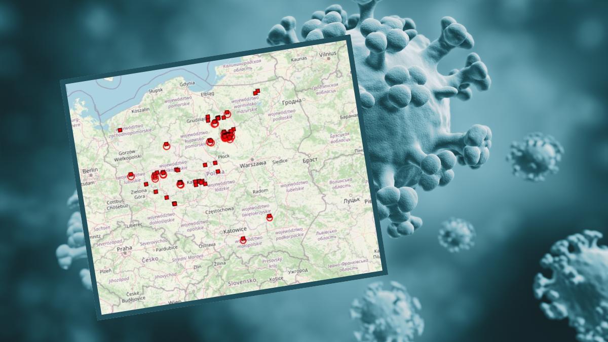 Wszystkie najnowsze przypadki ptasiej grypy dotyczą Wielkopolski.