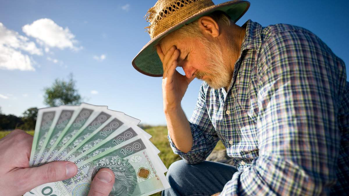 Aby móc inwestować w gospodarstwo, plantator, po odjęciu kosztów m.in. sortowania i logistyki, za kilogram jabłek powinien otrzymać co najmniej 2 zł. 